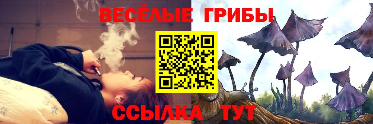 Галлюциногенные грибы мицелий  Вход с VPN  Елабуга  Псилоцибиновые грибы MAGIC MUSHROOMS 